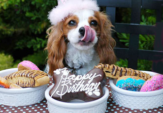  Birthday Party Ideas on Midsummer Pups Dream     A Summer Soiree    Livin    The Pupscale